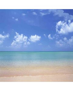 GladsBuy Peaceful Beach 10' x 10' Computer Printed Photography Backdrop Nature Theme Background ZJZ-499