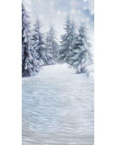 GladsBuy Snowy World 10' x 20' Computer Printed Photography Backdrop Christmas Theme Background ST-081