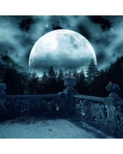 GladsBuy Moon Night Sky 10' x 10' Computer Printed Photography Backdrop Night Theme Background ZJZ-779