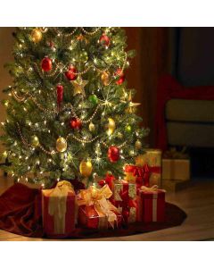 GladsBuy 10' x 10' Computer Printed Photography Backdrop Christmas Theme Background DGX-31