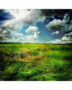 GladsBuy Green Meadow Under The Sky 10' x 10' Computer Printed Photography Backdrop Nature Theme Background HY-CM-1927